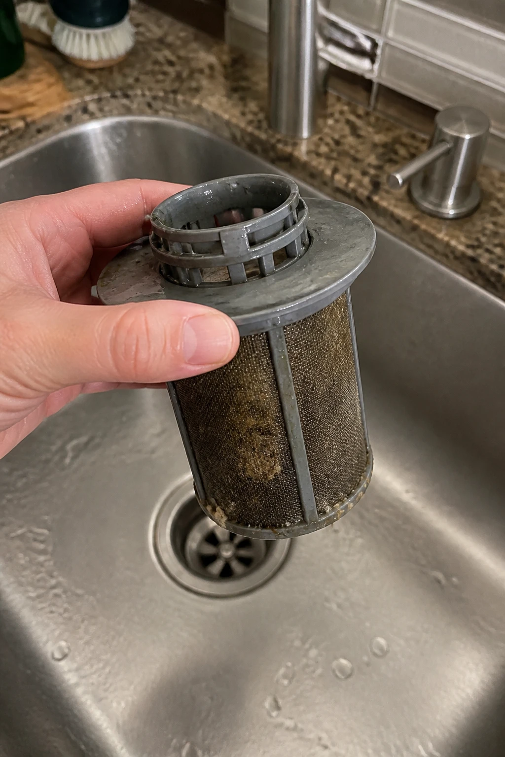 How To Clean a Dishwasher: A Step-by-Step Guide 4 Hand holding grimy dishwasher filter over kitchen sink